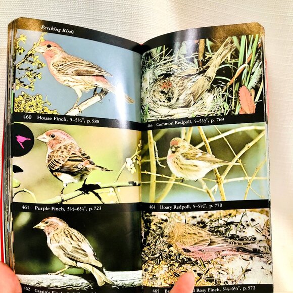 The Audubon Society Field Guide to North American Birds Vintage 1980s Book - Picture 10 of 16